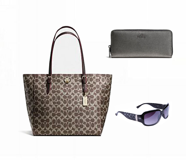 Coach Only $119 Value Spree 8801 | Women